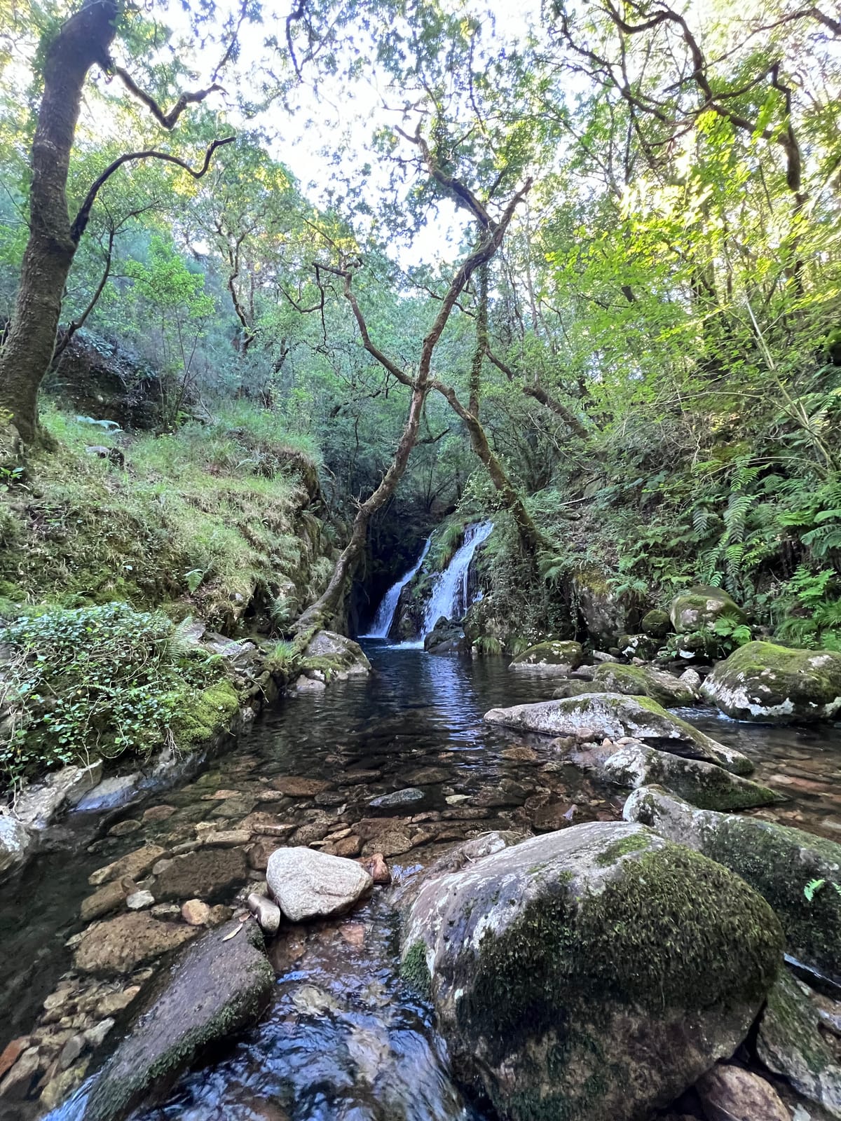 Fogar dos Antigos — 3