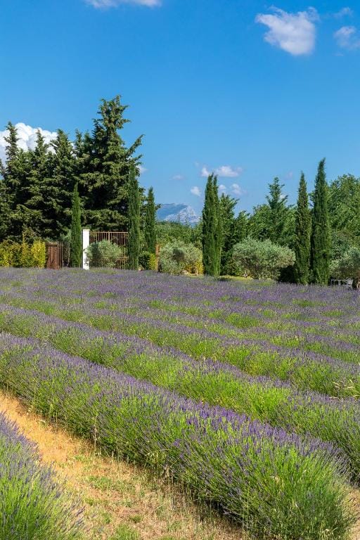 La Bastide de Damien, 5 clefs Demeure d'Exception et Table Remarquable dans le guide Teritoria, JACUZZI Privatif, Cuisine étoilée Dominique Frérard — 4
