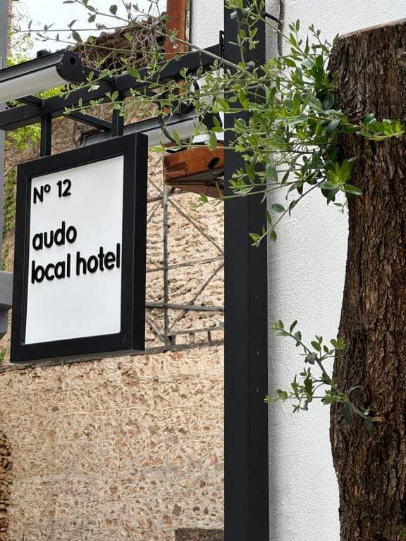 Audo Local — 5