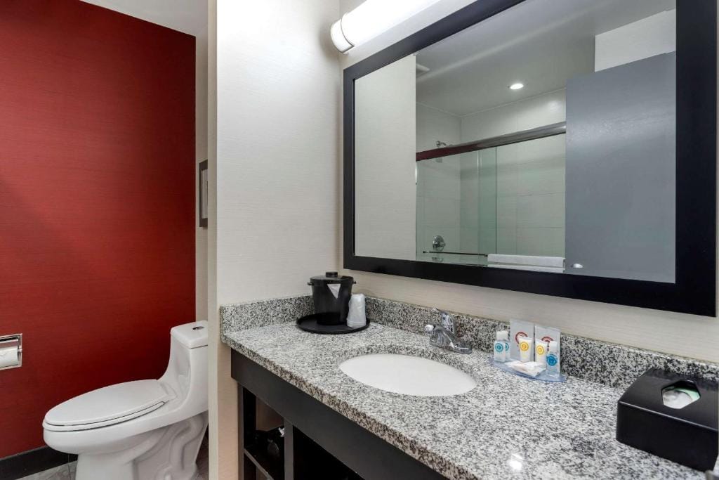 Comfort Inn & Suites near Stadium — 3