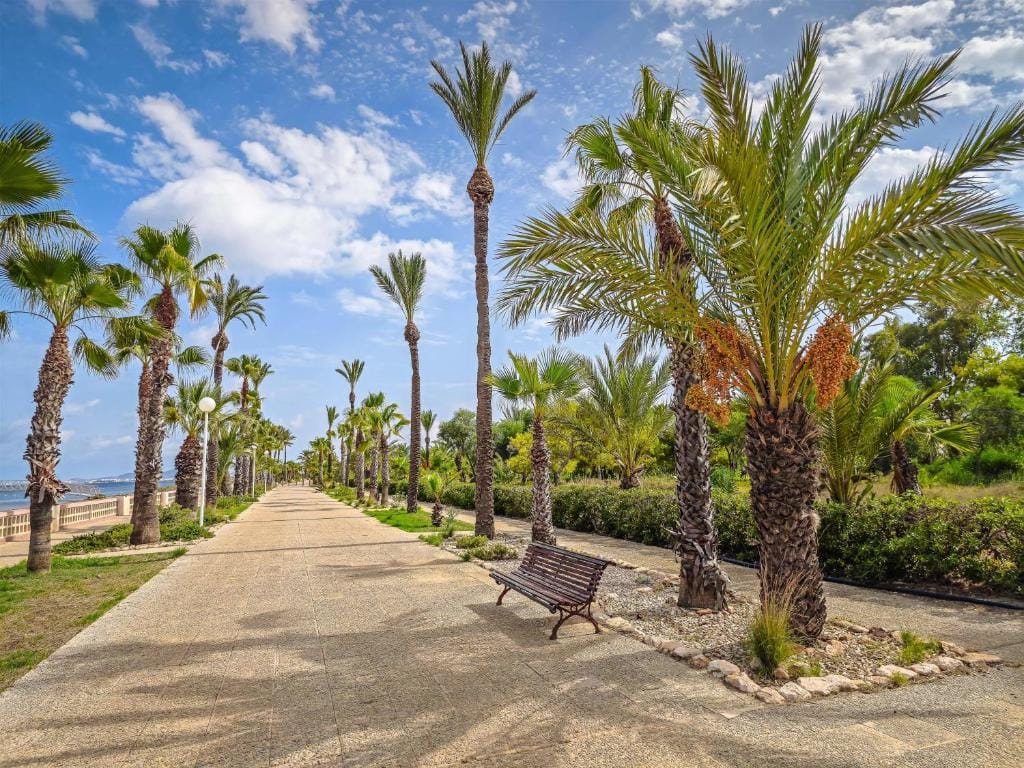 Occidental Mar Menor — 3