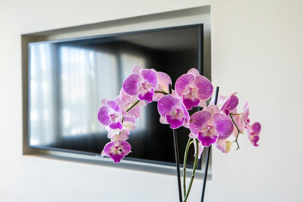 JM Suites Hotel Eco-Friendly Casablanca — 5