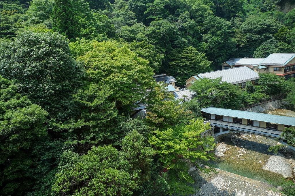 Arima Onsen Gekkoen Korokan — 2