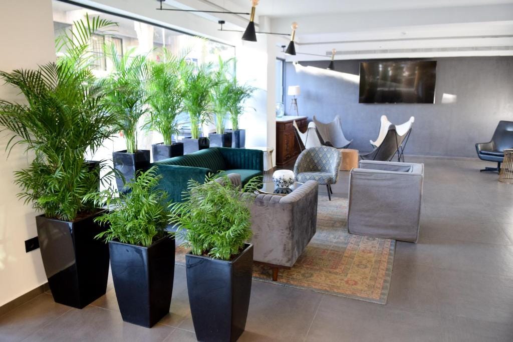 Adonis City Hotel — 3