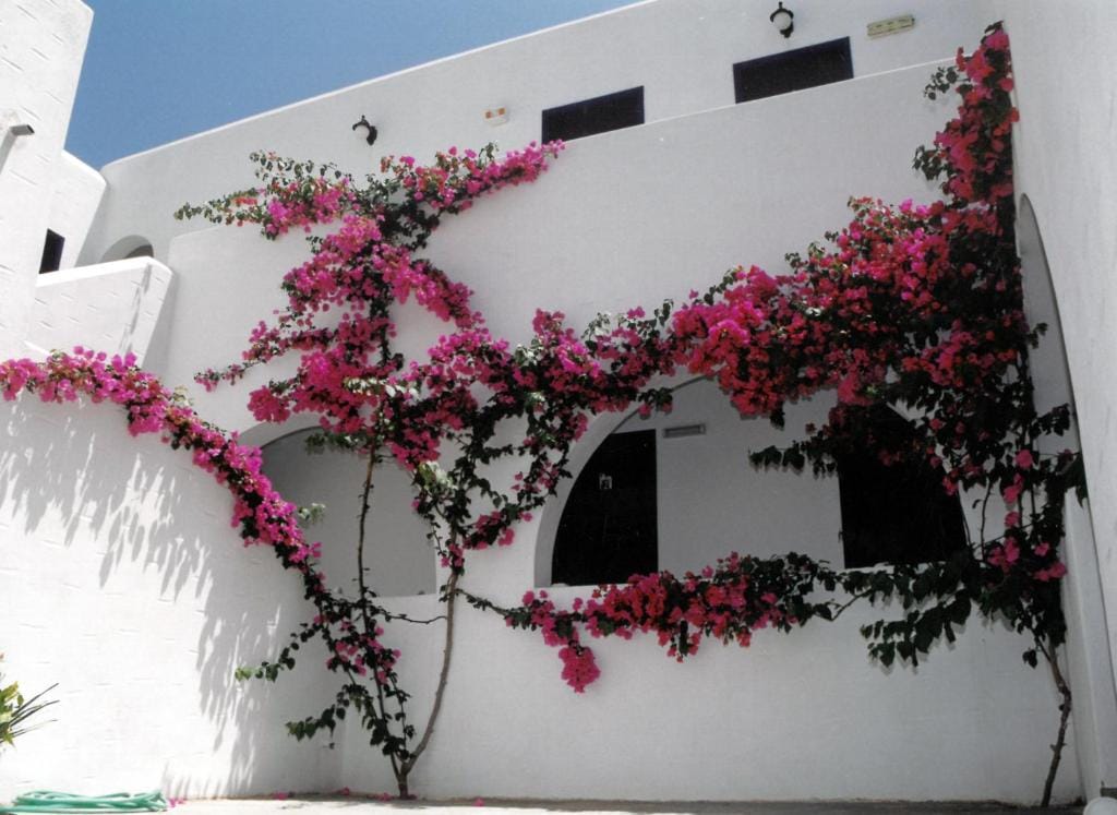 San Antonio Summer House — 2