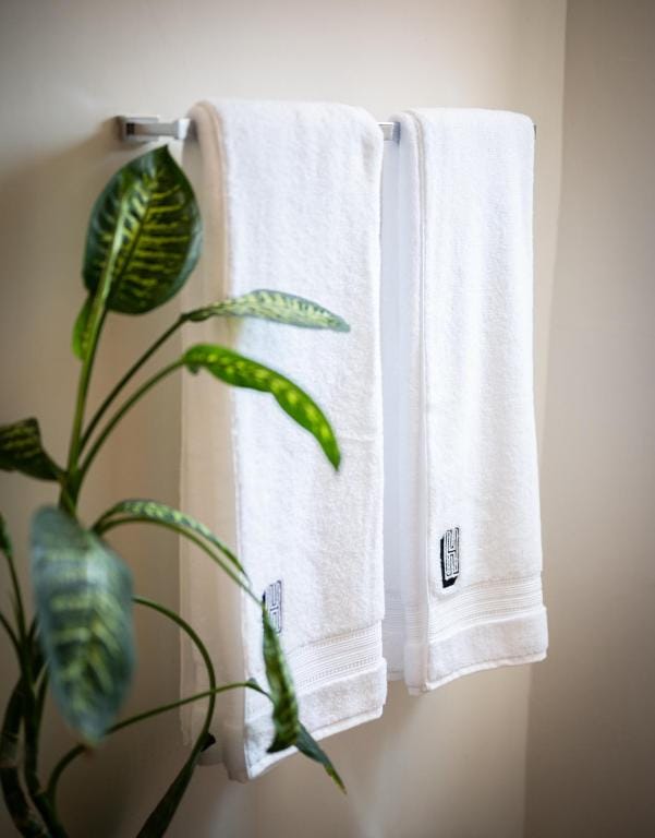 Hotel Boutique Lafayette Tijuana — 3