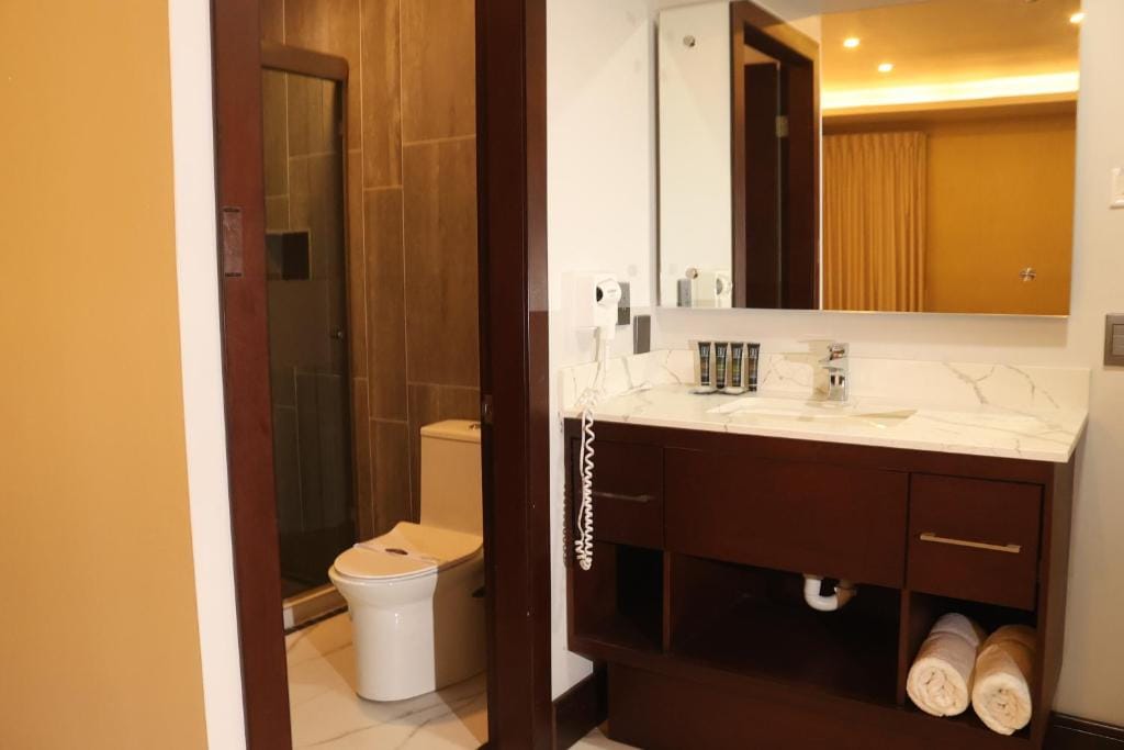 Hotel West Plaza — 3