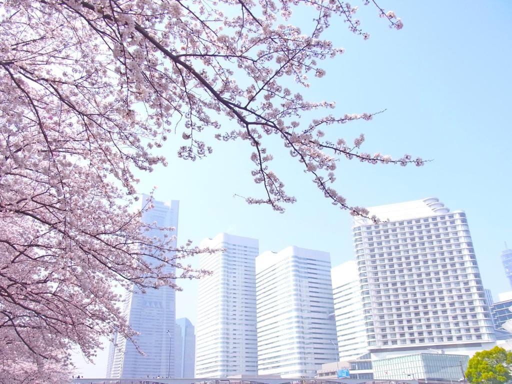 The Yokohama Bay Hotel Tokyu — 3